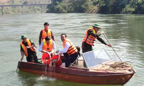 Nghệ An: Thả cá tái tạo nguồn lợi thủy sản trên sông Lam