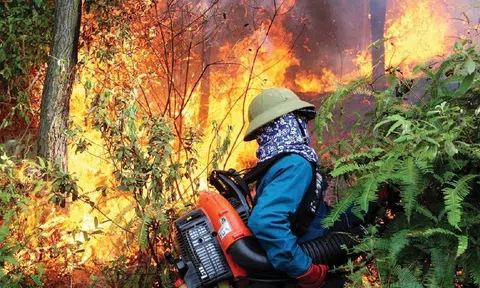 Nghệ An ban hành Chỉ thị về công tác phòng, chống cháy rừng năm 2023