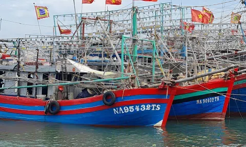 Nghệ An sẽ cập nhật 100% kết quả xử phạt hành vi khai thác thủy sản bất hợp pháp vào hệ thống phần mềm