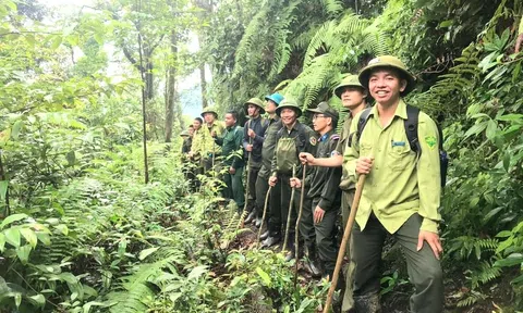 Những chuyển biến tích cực từ công tác chăm sóc, bảo vệ rừng và phát triển kinh tế lâm nghiệp ở Nghệ An