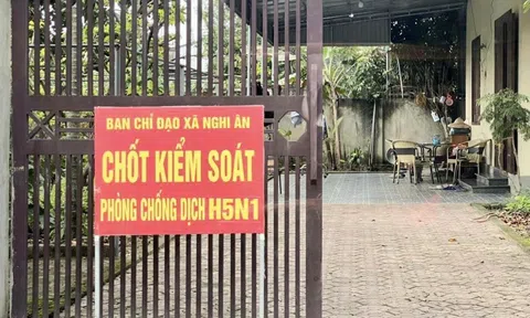 TP. Vinh (Nghệ An): Kịp thời khống chế ổ dịch cúm gia cầm H5N1 tại xã Nghi Ân