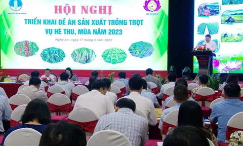 Nghệ An bàn giải pháp khắc phục khó khăn cho sản xuất vụ Hè - Thu 2023
