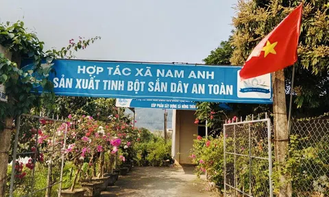 Nam Đàn (Nghệ An): Thêm 4 xã được công nhận đạt chuẩn Nông thôn mới kiểu mẫu