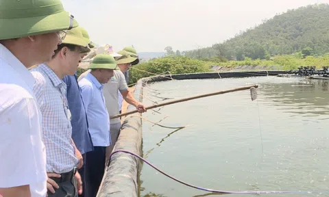 Phó Chủ tịch UBND tỉnh Nghệ An thị sát các mô hình nuôi trồng thủy sản công nghệ cao
