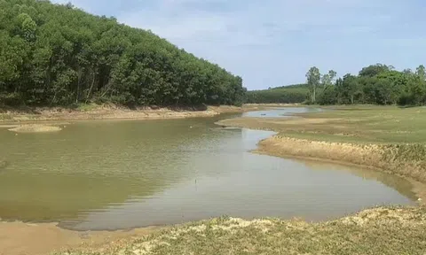 Nghệ An: Nắng hạn kéo dài, mực nước các hồ đập đang dần cạn kiệt