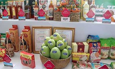 Nghệ An: Những "quả ngọt" từ chương trình "Mỗi xã một sản phẩm"