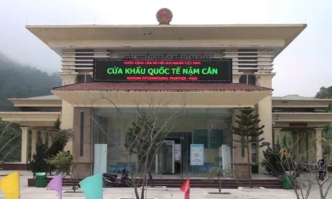 Nghệ An: Tuyên truyền, ngăn chặn và xử lý việc buôn bán, vận chuyển lợn trái phép qua biên giới