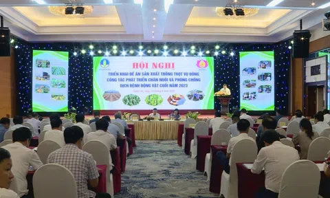 Nghệ An: Triển khai đề án sản xuất vụ Đông năm 2023