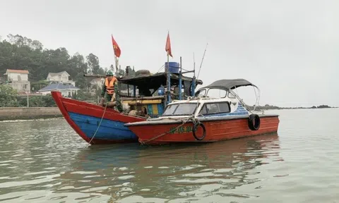 Nghệ An kiên quyết không cho tàu thuyền ra khơi khi chưa đủ điều kiện