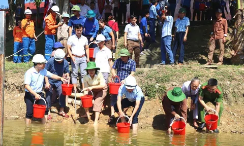 Nghệ An: Thả 2.600 kg cá giống xuống dòng sông Hiếu