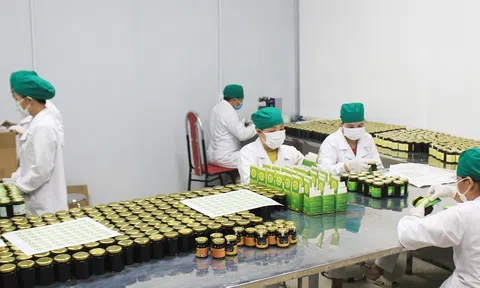 Bác sỹ trẻ người dân tộc Thái và ước mơ giúp dân bản thoát nghèo từ vườn cây dược liệu