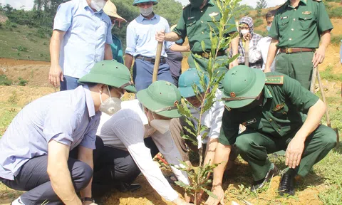 Tỉnh Nghệ An trồng được hơn 33 triệu cây xanh chỉ trong 3 năm