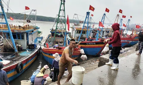 100% tàu cá qua các cảng ở Nghệ An được quản lý, giám sát chặt chẽ
