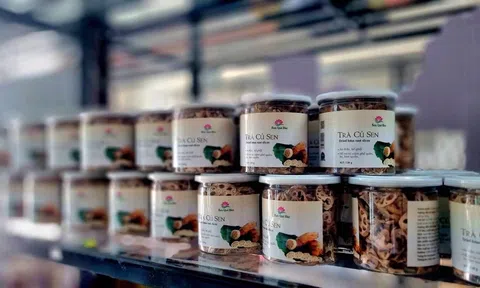 Sắp diễn ra chương trình liên kết đầu tư giữa Hà Nội và Nghệ An