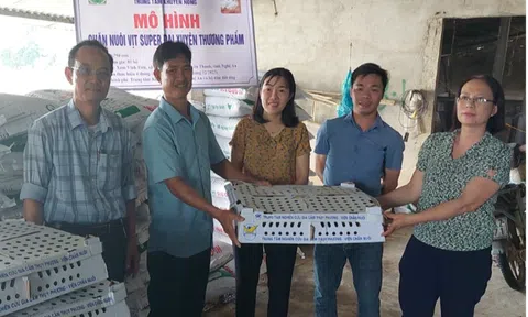 Nghệ An: Bàn giao giống vịt có tên "độc lạ" cho hộ chăn nuôi