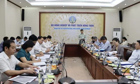 Nghệ An: Đô Lương được đề nghị công nhận huyện nông thôn mới