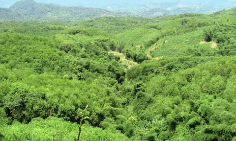 Nghệ An hướng đến mục tiêu phát triển kinh tế xanh, kinh tế tuần hoàn