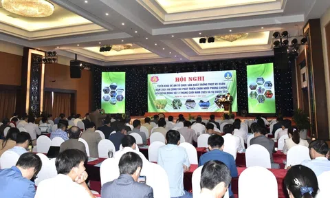 Nghệ An triển khai Đề án sản xuất, trồng trọt, chăn nuôi vụ Xuân năm 2024