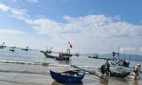 Ngư dân Nghệ An "bội thu" mùa ruốc biển