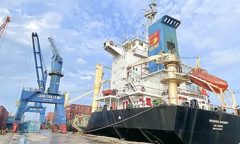 Nghệ An phấn đấu đến năm 2025 tổng kim ngạch xuất khẩu đạt 4 tỷ USD