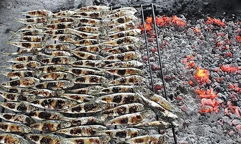 Ngư dân Nghệ An trúng đậm mùa cá được ví như 'vị ngọt của biển'