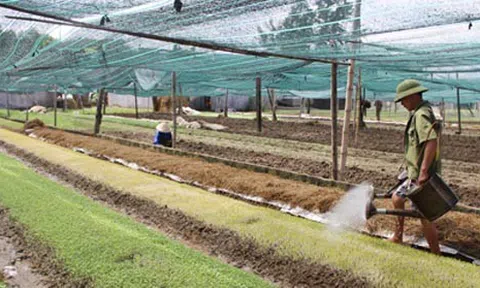 Luật Bảo vệ và Kiểm dịch thực vật giúp Nghệ An phát triển nông nghiệp gắn với bảo vệ môi trường