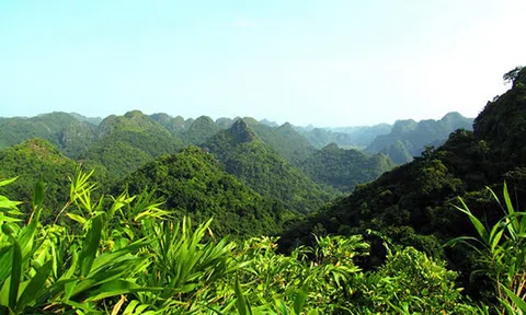 Nghệ An: 35 cộng đồng dân cư sẽ được hưởng lợi nguồn thu từ thỏa thuận chi trả giảm phát thải khí nhà kính vùng Bắc Trung Bộ (ERPA)