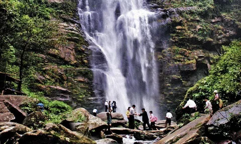 Tập đoàn A&B muốn đầu tư mô hình du lịch sinh thái tại rừng Quốc gia Pù Mát