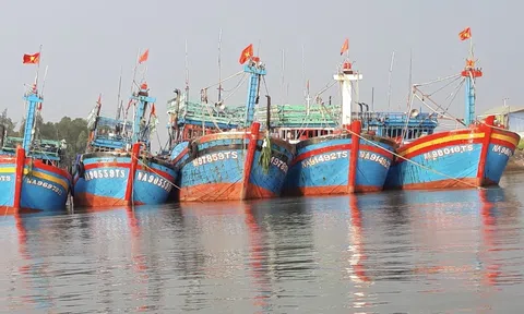 Nghệ An: Không có ngoại lệ trong việc xử lý tàu cá vi phạm IUU