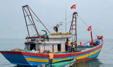 Nghệ An quyết tâm hoàn thành việc đăng ký tàu cá "3 không" trước ngày 30/09/2024