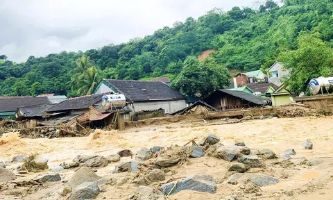 Nghệ An chủ động đảm bảo an toàn hồ đập và phòng chống ngập úng cho cây trồng trước mùa mưa bão 2024