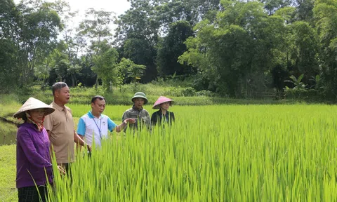 Người trưởng xóm mẫu mực với “bí quyết” trong huy động sức dân tham gia xây dựng nông thôn mới