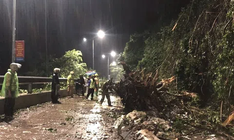 Nghệ An: Học sinh phải nghỉ học, hàng trăm hộ dân phải di dời do mưa lớn, sạt lở