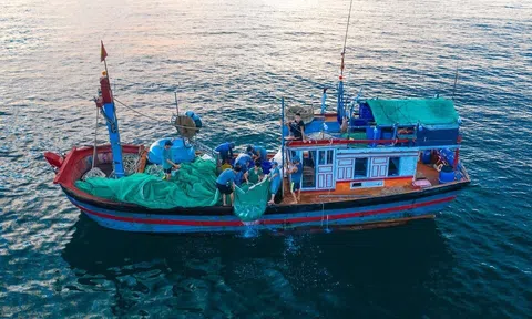 Triển khai đồng bộ các chính sách, đề án giúp nông nghiệp Nghệ An gặt hái nhiều thành quả