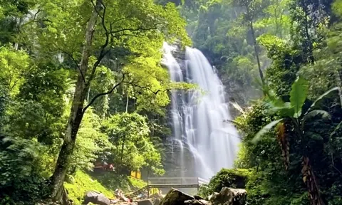 Vườn Quốc gia Pù Mát thông báo tạm dừng đón khách tham quan ở một số địa điểm