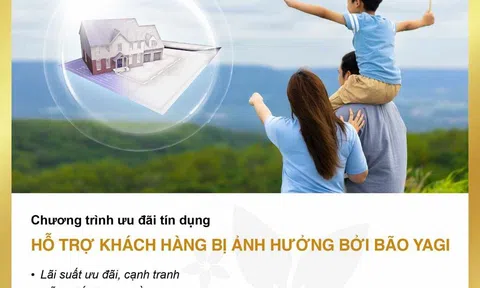 BAC A BANK giảm lãi vay, đồng hành cùng khách hàng chịu ảnh hưởng bởi bão Yagi