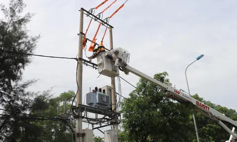 Công ty Điện lực Nghệ An quyết tâm đảm bảo an ninh, an toàn lưới điện để mang lại chất lượng phục vụ tốt nhất cho khách hàng