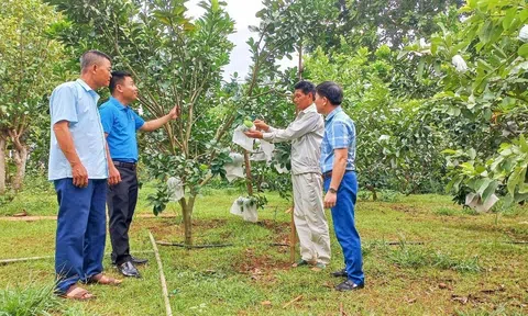 Nghệ An: Thẩm tra các tiêu chí để công nhận huyện Nghĩa Đàn đạt chuẩn nông thôn mới