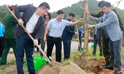 Tỉnh Nghệ An chuẩn bị kế hoạch để triển khai phong trào "Tết trồng cây" xuân Ất Tỵ 2025 thiết thực, hiệu quả