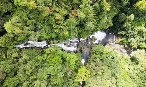 Chuẩn bị những điều kiện tốt nhất để triển khai dự án bảo tồn đa dạng sinh học và cảnh quan tại Nghệ An