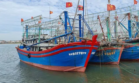 Nghệ An "mạnh tay" xử lý các tàu cá vi phạm IUU