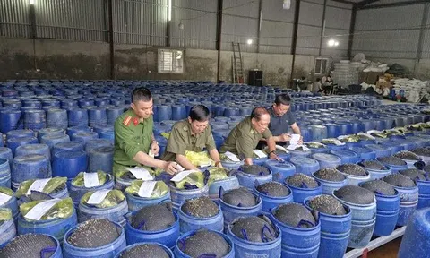 Nghệ An siết chặt quản lý, không để thực phẩm bẩn xuất hiện trên thị trường