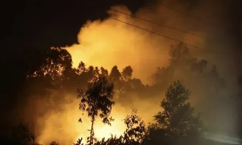 Nghệ An: Vụ cháy rừng trên núi Bàn Cờ đã được khống chế thành công