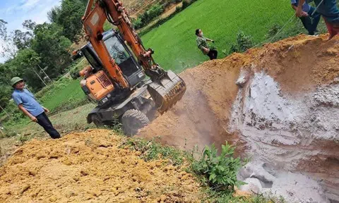 Nghệ An chỉ đạo các địa phương nhanh chóng dập tắt dịch tả lợn Châu Phi