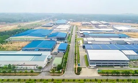 Nghệ An: Những kỳ vọng lớn về nguồn năng lượng sạch từ 2 nhà máy vừa được khởi công