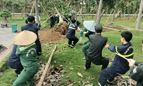 Đường phố tại Nghệ An vẫn ngổn ngang cây xanh gãy, đổ sau nhiều ngày cơn bão đi qua