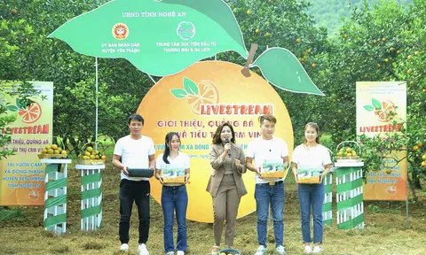 Nghệ An  hỗ trợ quảng bá, tiêu thụ các sản phẩm OCOP trên nền tảng số