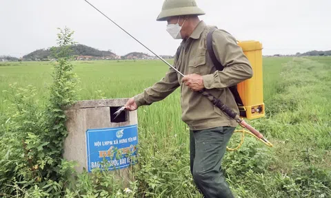 Xử lý bao bì thuốc Bảo vệ thực vật đúng quy định để tạo ra những cánh đồng xanh và nền nông nghiệp sạch