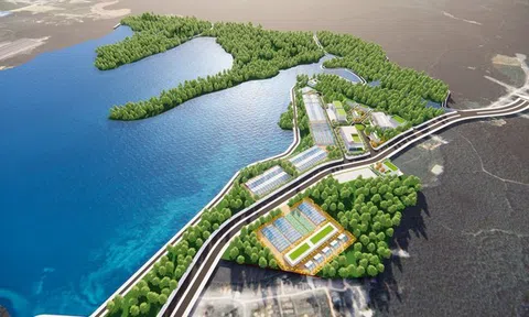 Nghệ An chuẩn bị có Khu Lâm nghiệp ứng dụng công nghệ cao đầu tiên trên cả nước