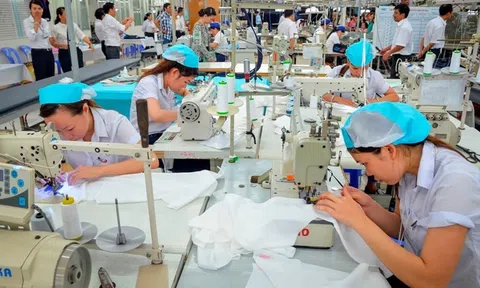 Hiệp hội Doanh nghiệp châu Âu tại Việt Nam đánh giá cao Chỉ số Môi trường Kinh doanh của Việt Nam